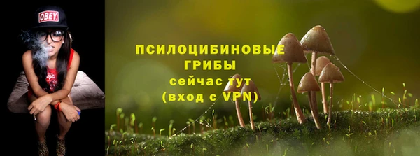 герыч Алексеевка