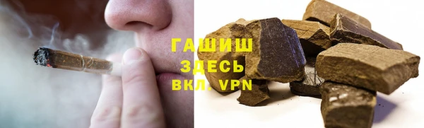 прущие грибы Абинск