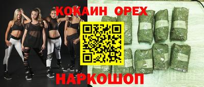 ешки Кингисепп