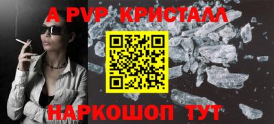 ешки Кингисепп