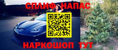 PSILOCYBIN Кимры
