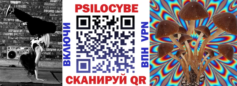 OMG ССЫЛКА  даркнет сайт  Урюпинск  Псилоцибиновые грибы Psilocybe 