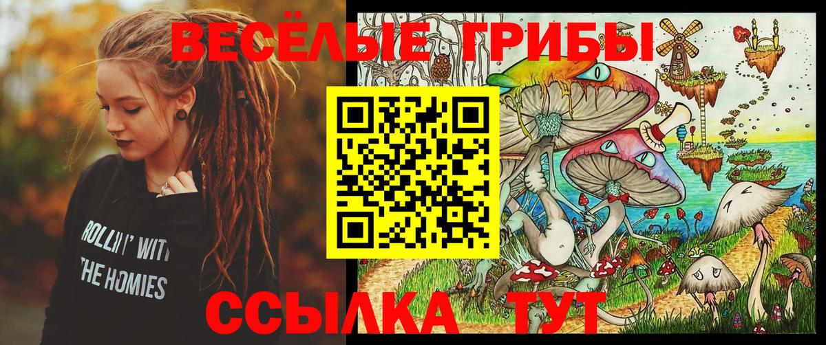 Галлюциногенные грибы Magic Shrooms  Вход с VPN  Урюпинск  Псилоцибиновые грибы Psilocybine cubensis 