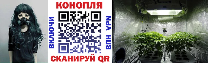 Марихуана OG Kush  купить наркотик  ОМГ ОМГ рабочий сайт  Урюпинск 
